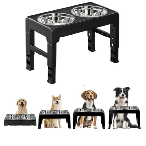 Raised Dog & Cat Bowls