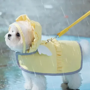 Pet Dog Angel Raincoat