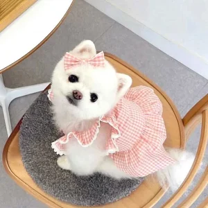 Spring/summer new pet dog dress pink plaid