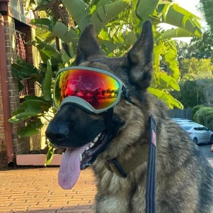 Dog Goggles Anti-UV Sun Glasses Eyewear Protection Adjustable Windproof