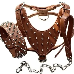 Premium Leather Collars Harnesses for Dogs – 3PCS Set