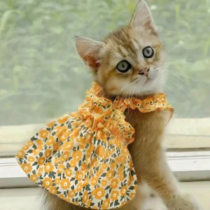 Breathable Skirt Dress