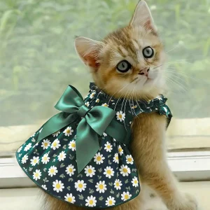 Fashion Cat Pet Dog Dress Sleeveless Cyan Flower