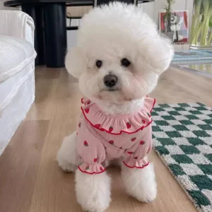 Small Dog Vest Ruffled Strawberry